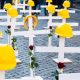 fonte immagine: web