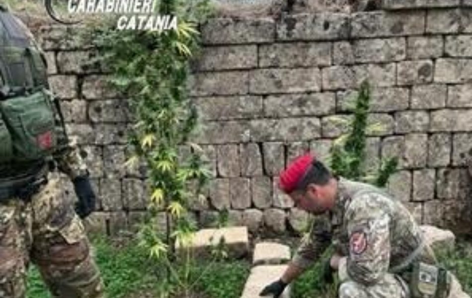 Immagine di corredo della fonte Etna News 24, senza identificazione delle persone coinvolte